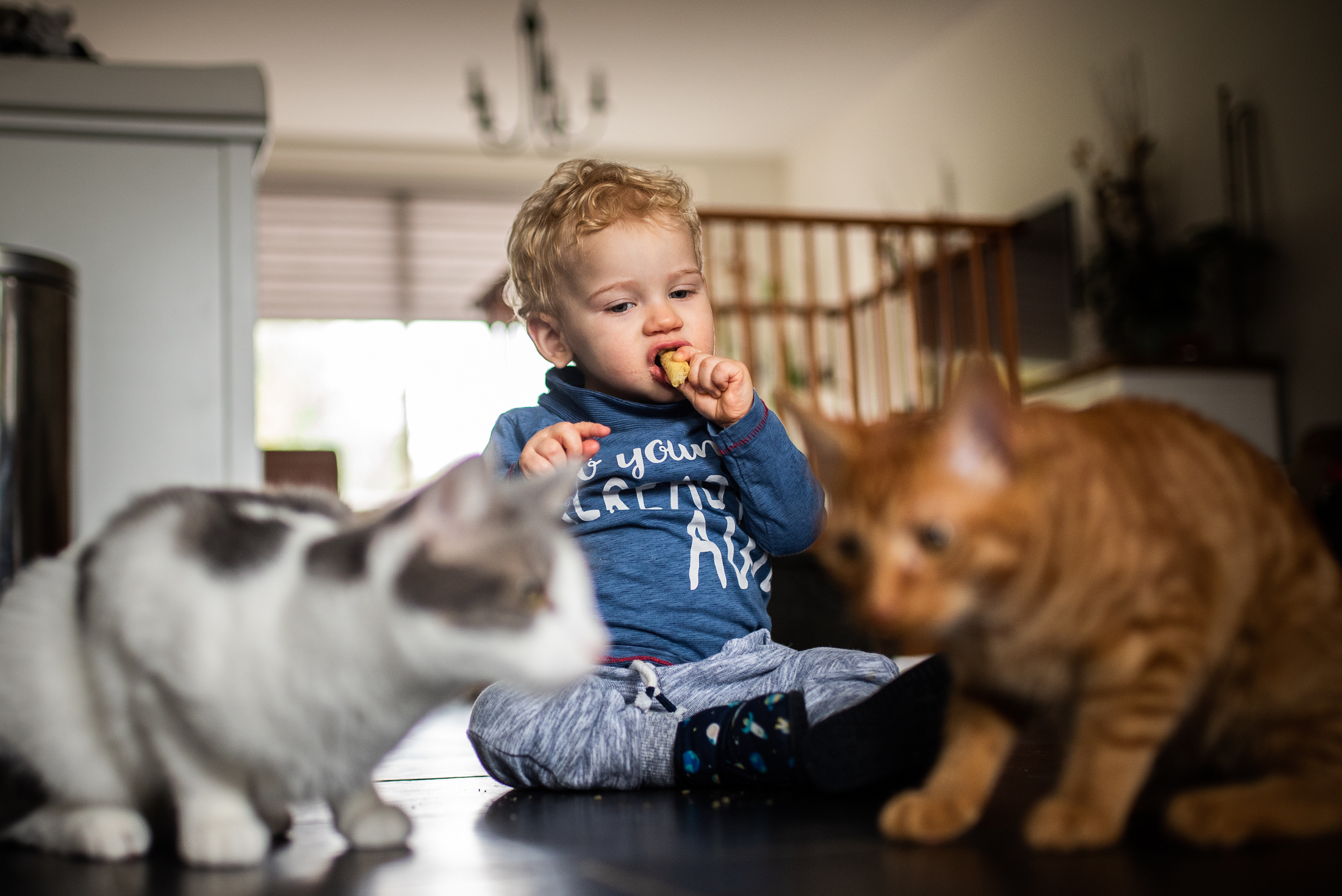 Hidde met de katten