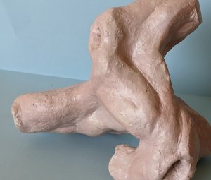 Natuurvorm E 70*