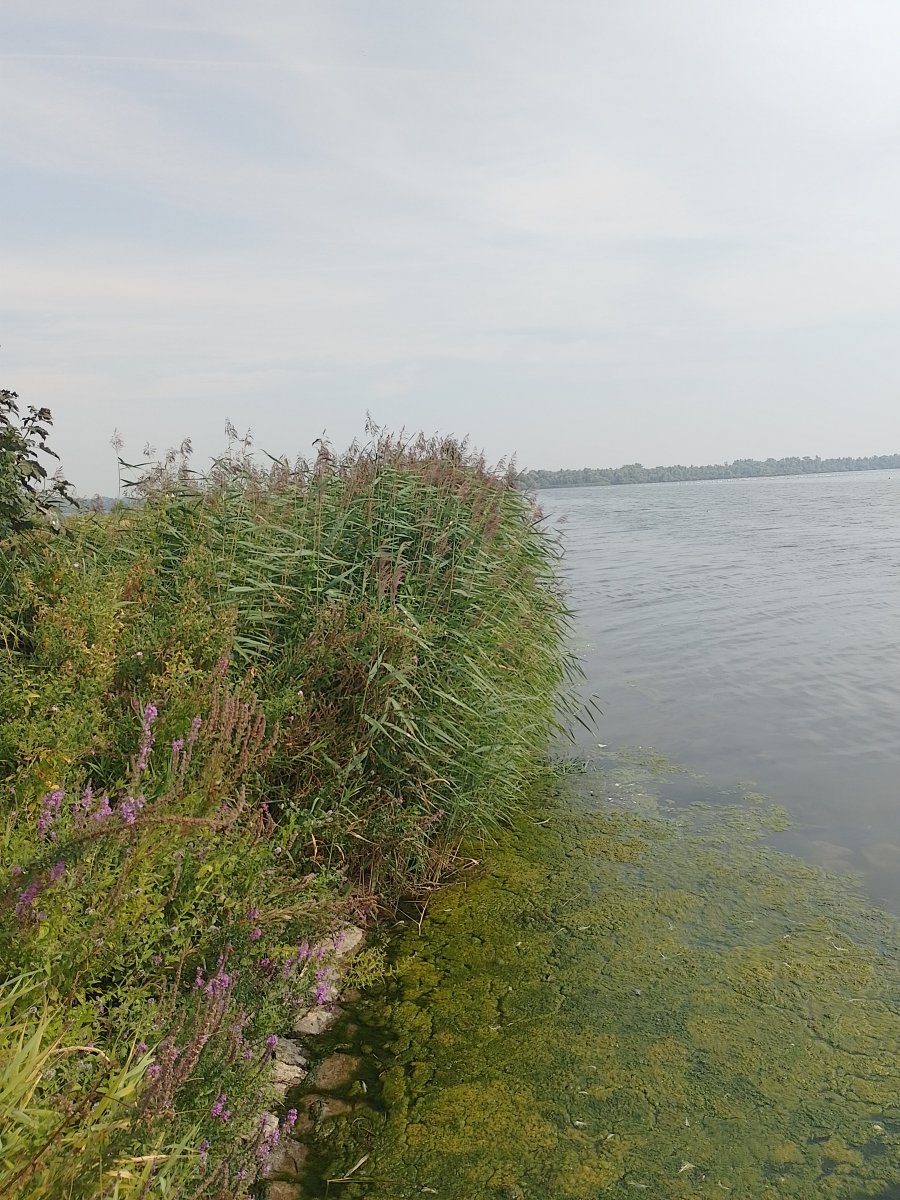 natuur de natuur was ook heel mooi :)