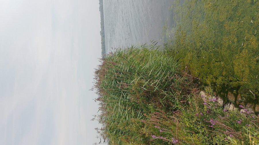 natuur de natuur was ook heel mooi :)
